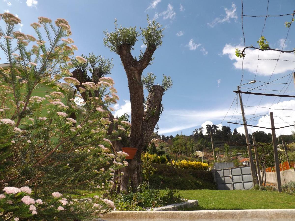 Grovelas Casa Oliveira 빌라 외부 사진